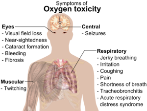 A diagram showing a male torso and listing symptoms of oxygen toxicity: Eyes – visual field loss, nearsightedness, cataract formation, bleeding, fibrosis; Head – seizures; Muscles – twitching; Respiratory system – jerky breathing, irritation, coughing, pain, shortness of breath, tracheobronchitis, acute respiratory distress syndrome.