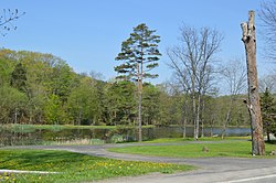 Pond along Pennsylvania Route 110