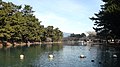 公園内の池