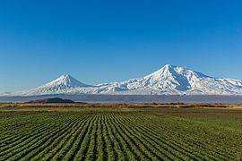 Ararat (Ağrı Dağı)