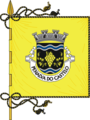 Bandeira de Penalva do Castelo