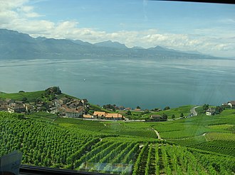 Viñedos de Lavaux con el lago Lemán y los Alpes de fondo, vista desde el tren.