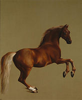 George Stubbs: Whistlejacket (1762)