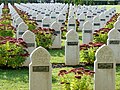 Carré musulman de la nécropole nationale d'Amiens (Saint-Acheul). Au premier plan, tombe d'un soldat du 45e RTS tombé pendant la Bataille de la Somme.