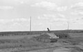 On the ground, in Russia, August 1943.