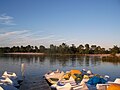 Le lac de Lamothe (août 2015).