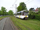 Le tram de la côte.