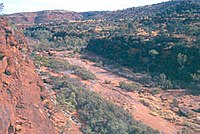 Palm Valley, located in the national park