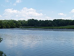 Picture of Blackbird Creek at Blackbird Creek Reserve