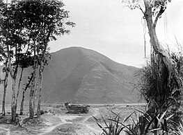 Sarcophagus in Samosir c. 1916