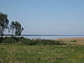 Peipsi järve rannik Mustvee ja Lohusuu vahel