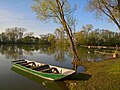 Romantika fonejo ĉe la fiŝlago Vesteckého rybníka