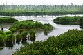 Die Peene – zwischen Kummerower See und Anklam – hat noch weitgehend natürliche Wasserläufe. Circa 1000 Hektar gehören der Stiftung in dem Gebiet