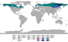 Koppen World Map Dfc Dwc Dsc Dfd Dwd Dsd.png