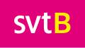 SVT Barnkanalen's third logo used from 25 August 2008 to 10 June 2012.