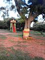 Ammari Amman Temple, Mananthavady Road