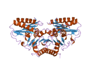 2ddk: Crystal structure of human myo-inositol monophosphatase 2 (IMPA2) (orthorhombic form)