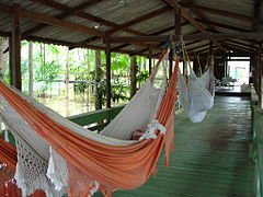 Hammocks, Amazon River island, Brazil.