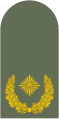 Almaniya (bundesver): Brigadegeneral