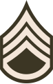 美國陸軍上士臂章
