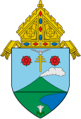 Diocese of Legazpi