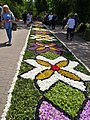 Flower carpet in Spycimierz, Poland