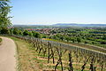 Blick vom Lindelberg auf Windischenbach