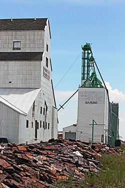 Barons' last remaining elevators along the CPR tracks prior to demolition