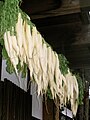 Daikon