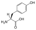 L-Tyrosiini (Tyr / Y)