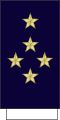 Général d'armée aérienne (French Air and Space Force)