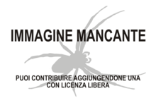 Immagine di Millplophrys mancante