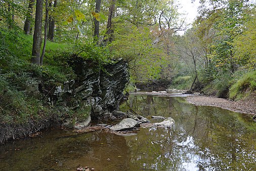 Muddy Branch Stream near Esworthy Rd in Montgomery County, MD