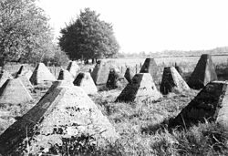 Panzersperren des Westwalls in der Eifel