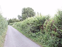 Skittle Green lane, near Bledlow, 2005