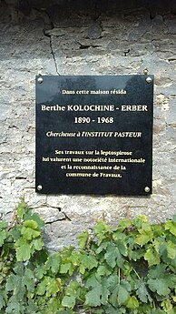 Plaque.