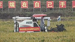 衡南县一个农业合作社的收割机参与袁隆平主导的杂交水稻试验，摄于2020年11月