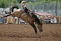 Image 1A rodeo at Days of '76 in Deadwood. (from Culture of South Dakota)