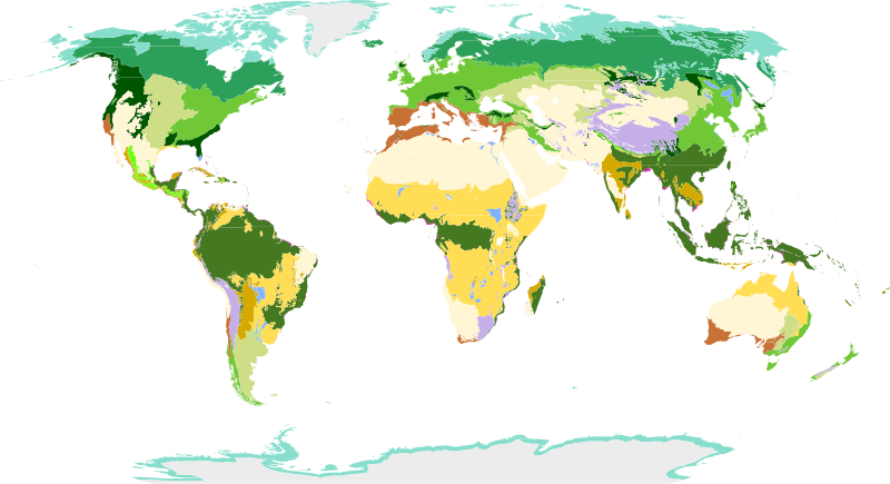Terrestrial biomes classified by vegetation
