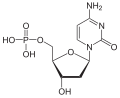 Desoxycytidin- monophosphat (dCMP)