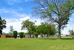 Town Hall and other buildings viewed from across Trion Park