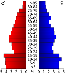 Schéma représentant la population du comté, par tranche d'âge. En rouge, à gauche, les femmes, en bleu à droite, les hommes.