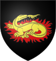 Salamander mit Flammengloriole (Gennes FR)