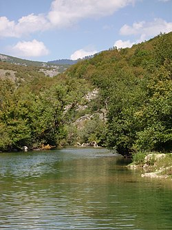 Pogled na rijeku Sanu u općini Ribnik