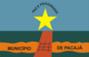 Flag of Pacajá