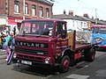 Leyland Terrier