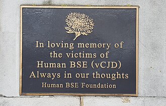 A plaque with gold letters on a black background saying "In loving memory of the victims of Human BSE (vCJD) – Always in our thoughts – Human BSE Foundation"