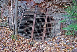 Cover over drift near North Jackson Pit No. 1, 2010