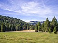 Plans de cunfin cun sief per la defendura dal bestiam per l'ega da bever.