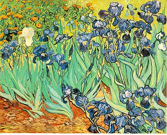 Negli Iris di Vincent van Gogh, gli iris blu sono posizionati contro uno sfondo del loro colore complementare, il giallo-arancio.